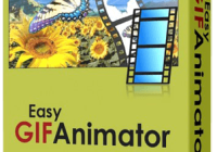 Easy GIF Animator 7.4.6 Crack + Activation Code Free Download
