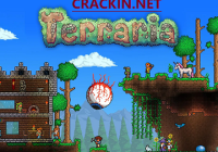 Terraria 1.4.3.6 Crack With Torrent & (Patch) Key 2022 Download