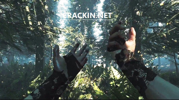download the forest full crack